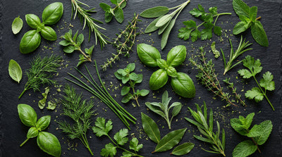 The Power of Herbs