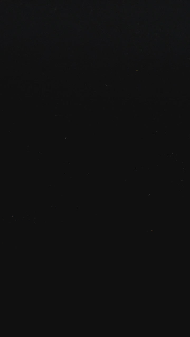 Ginger Tease® Organic Agave Elixir